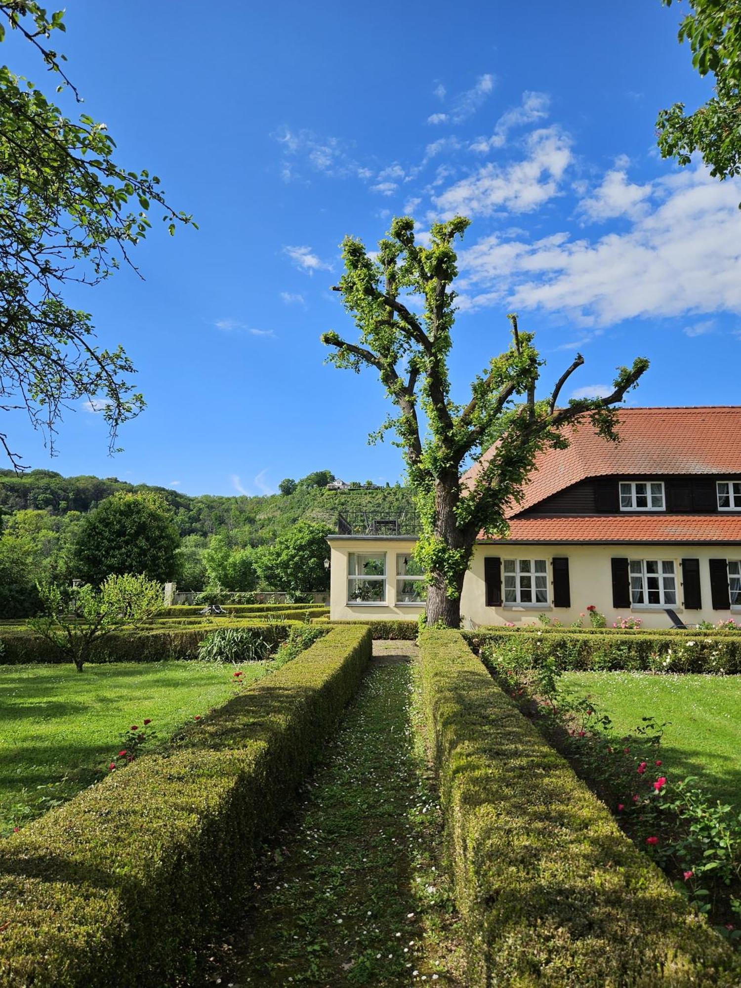 Landhaus Saaleck ناومبورغ المظهر الخارجي الصورة